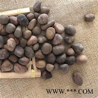 大风子 大风子 统货  产地 广西壮族自治区 买好药找娟子图2