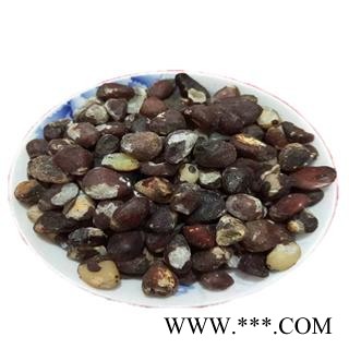 大风子 大风子仁 产地 广西壮族自治区 买好药找娟子图3