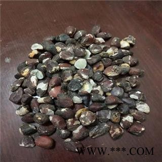 大风子 大风子仁 产地 广西壮族自治区 买好药找娟子图2