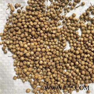 胡荽子 统货 芫荽籽 香菜籽 香菜子 产地 安徽省图2