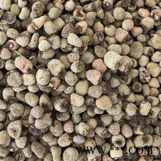 覆盆子 覆盆子选货 产地 浙江省 买好药找娟子图4