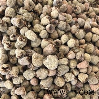 覆盆子 覆盆子选货 产地 浙江省 买好药找娟子图3