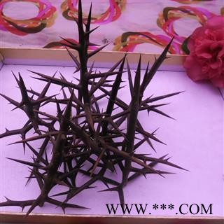 皂角刺 统货 产地 四川省成都市双流县图3