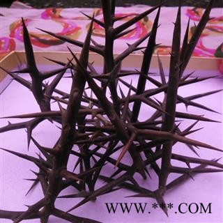 皂角刺 统货 产地 四川省成都市双流县图4