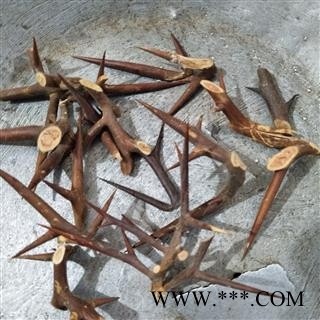 皂角刺 皂角刺老刺选片3年皂角刺 产地 山东省图2