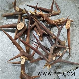 皂角刺 皂角刺老刺选片3年皂角刺 产地 山东省图3