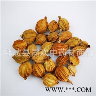 【香砂选货】@【同欢药材】中药材批发供应 规格齐全 量大从优  产地 广西壮族自治区图2