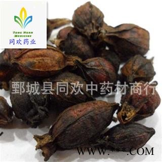 【炒栀子】@【同欢药材】中药材批发供应 规格齐全 量大从优  产地 江西省图1