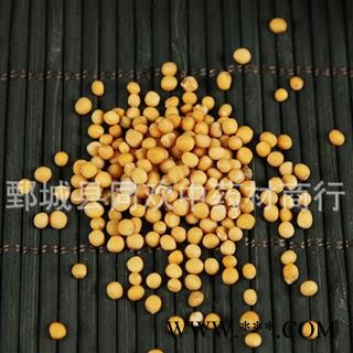 【白芥子】@【同欢药材】中药材批发供应  规格齐全 量大从优 产地 四川省图3