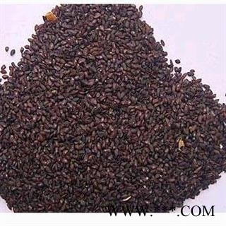 车前子 车前子净货 产地 四川省 风选杂质图3