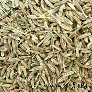 中药材孜然药食两用 孜然净货新货 孜然颗粒精挑细选去除残杂 自然晒干均匀干燥 安国中药材批发零售大全