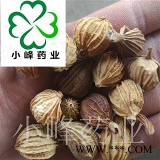 香砂 香砂 选货 颜色好 纯干 小峰药业 重在品质 产地 广西壮族自治区图2