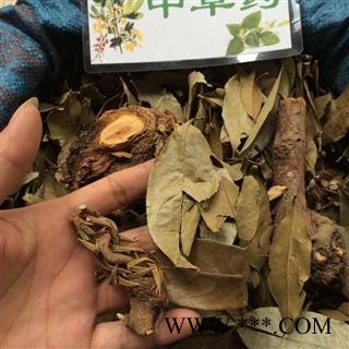 广西壮乡中草药 野生 杉木寄生 杉寄生 产地 广西柳州图2