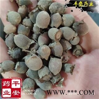 桃金娘子 颗粒整齐 质地饱满 岗稔子 山稔子 桃金娘果【品质保证 卓越品质】图1