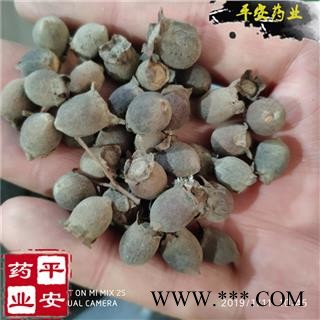 桃金娘子 颗粒整齐 质地饱满 岗稔子 山稔子 桃金娘果【品质保证 卓越品质】图2