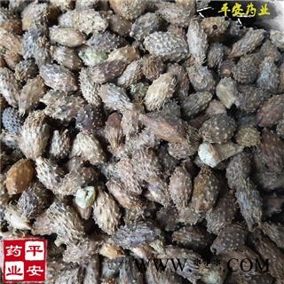 苍耳子 新货 老籽比绿色药效更好 虱马头 老苍子 刺八裸 苍浪子 青棘子 痴头婆 胡苍子 苍苍子图2