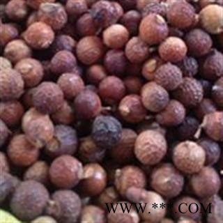 无患子 洗手果 油患子 假龙眼 鬼见愁 木患子图2