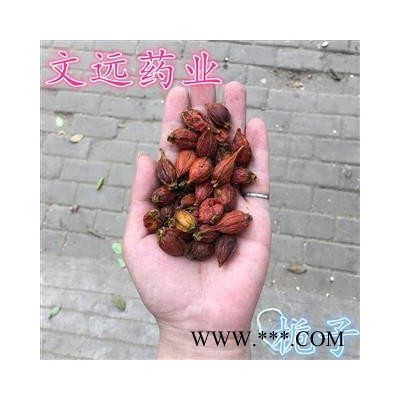 栀子 统装 产地 江西省宜春市市辖区