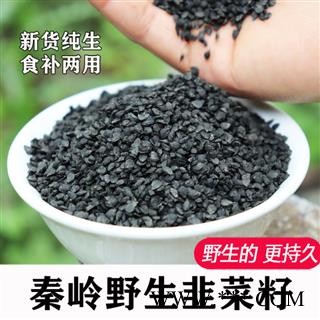 秦岭野生优质韭菜籽纯手工采摘日晒风干无硫无添加韭菜籽1000g