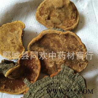 【槐耳】@【同欢药材】中药材批发供应  规格齐全 量大从优  产地 山东省图3