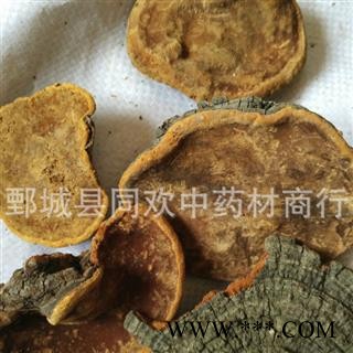 【槐耳】@【同欢药材】中药材批发供应  规格齐全 量大从优  产地 山东省图2