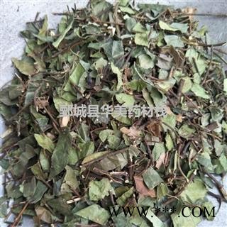 络石藤 统货 产地 四川省 华美中药图3