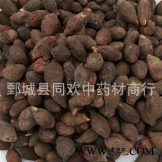 【药用统货胖大海】@【同欢药材】中药材批发供应  规格齐全 量大从优  产地 海外图2