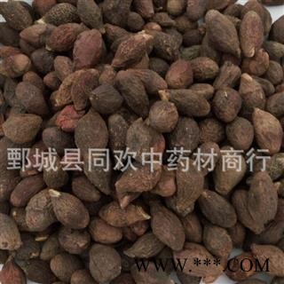 【药用统货胖大海】@【同欢药材】中药材批发供应  规格齐全 量大从优  产地 海外图3