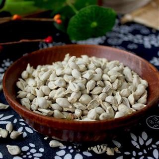 橘核 橘子核 桔子核 桔核 正品新货 颜色好纯干 无虫蛀图2