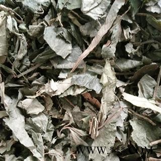 胡秃子叶 统货 产地 辽宁省图2