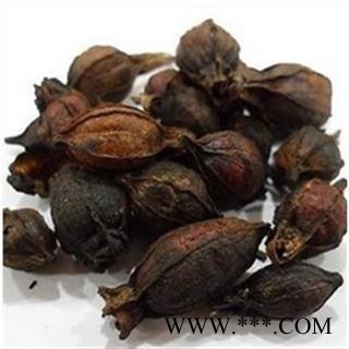 栀子 栀子 炒栀子 产地 福建省图2