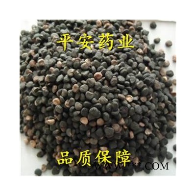 曼陀罗子 醉葡萄 天茄子 胡茄子 狗核桃 风茄果 伏茄子