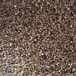 菟丝子 菟丝子水洗 产地   正品图2