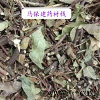 络石藤 络石藤统段 产地 河南省图2