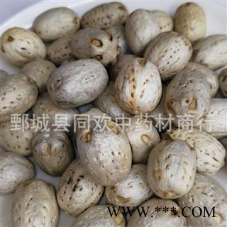 【南酸枣 五眼果】@【同欢药材】中药材批发供应 规格齐全 量大从优  产地 海南省图2
