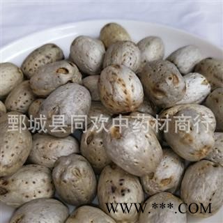 【南酸枣 五眼果】@【同欢药材】中药材批发供应 规格齐全 量大从优  产地 海南省图3