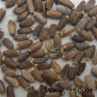 水飞蓟 水飞蓟统货 产地 辽宁省中药材批发零售大全图2