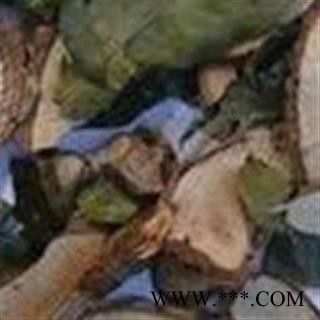 小丽百草行七叶莲 -七叶藤 龙爪叶 龙爪树 大七叶莲 多蕊木图2