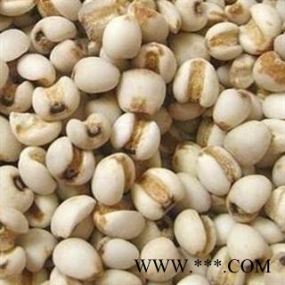 薏米 大薏米 薏苡仁 无虫蛀无霉变 好货 无碎瓣 假一陪十 产地 贵州省图2