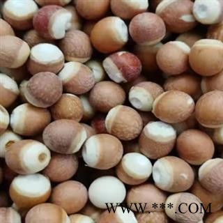 中药材芡实 芡实各种规格 颗粒饱满圆润 无硫熏蒸 自然健康 色正无杂 无霉变 不漂白 品质有保证 安国中药材批发零售大全图1