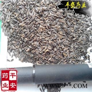 平安药业 黑生菜籽 生菜籽 优质促销图2