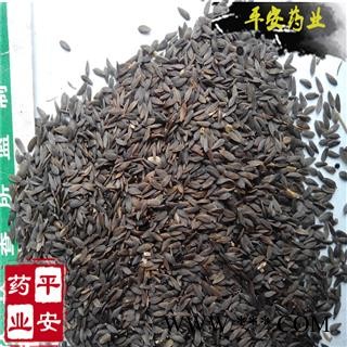 平安药业 黑生菜籽 生菜籽 优质促销图1