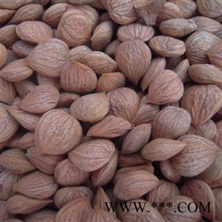 苦杏仁、杏仁图2