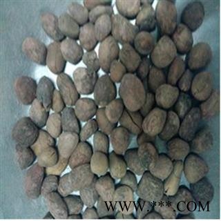 大风子 统 产地 海南省图2