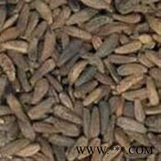 牛蒡子 大力子 牛子 统 产地 甘肃省图2