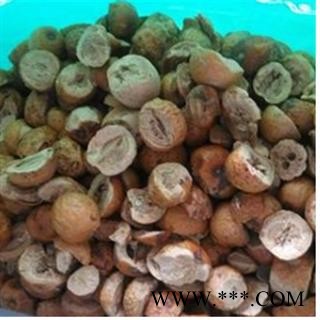 川楝子 川楝子  统 产地 四川省图2