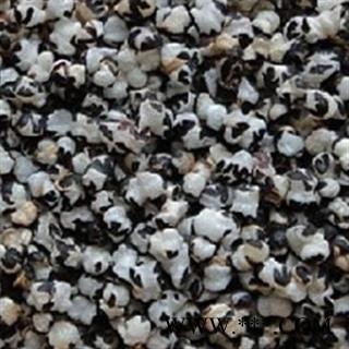 王不留行 河北王不留行统货   炒王不留  产地 河北省图2