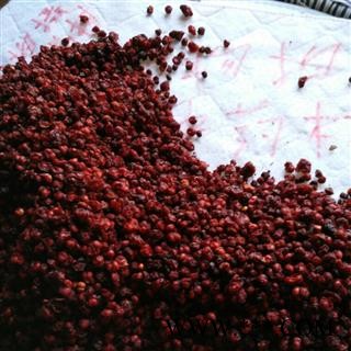 辽五味统产地辽宁省辽阳市辽阳县图3