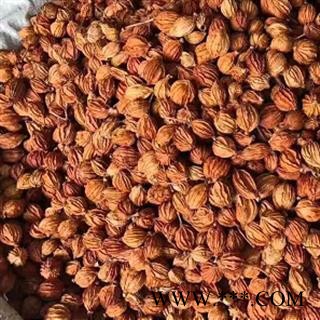 中药材香砂 川沙 仁香砂 本品是纯天然 无添加无硫熏 无农药 无防腐 自然风干 绿色无添加更健康 安国中药材批发零售大全图4