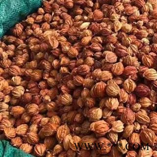 中药材香砂 川沙 仁香砂 本品是纯天然 无添加无硫熏 无农药 无防腐 自然风干 绿色无添加更健康 安国中药材批发零售大全图3